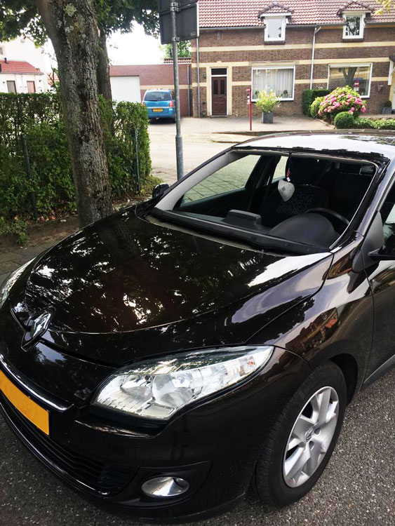 renault voorruit vervangen